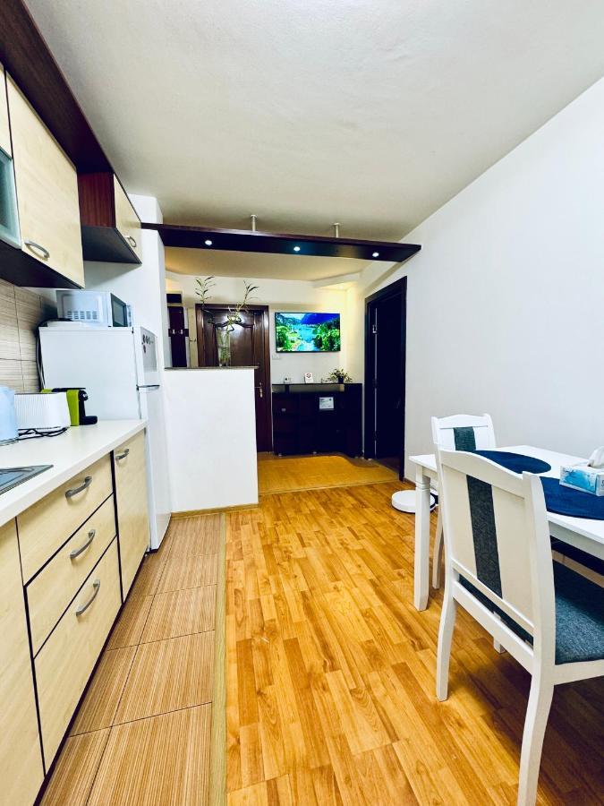 Appartamento Altheda Living Eroilor 116-A4 Suceava Esterno foto